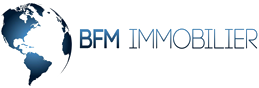 BFM Immobilier logo