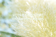 Sophie Petitdidier logo