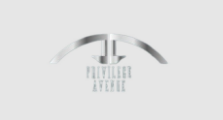 Privilege Avenue logo