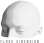Flash Dimension logo
